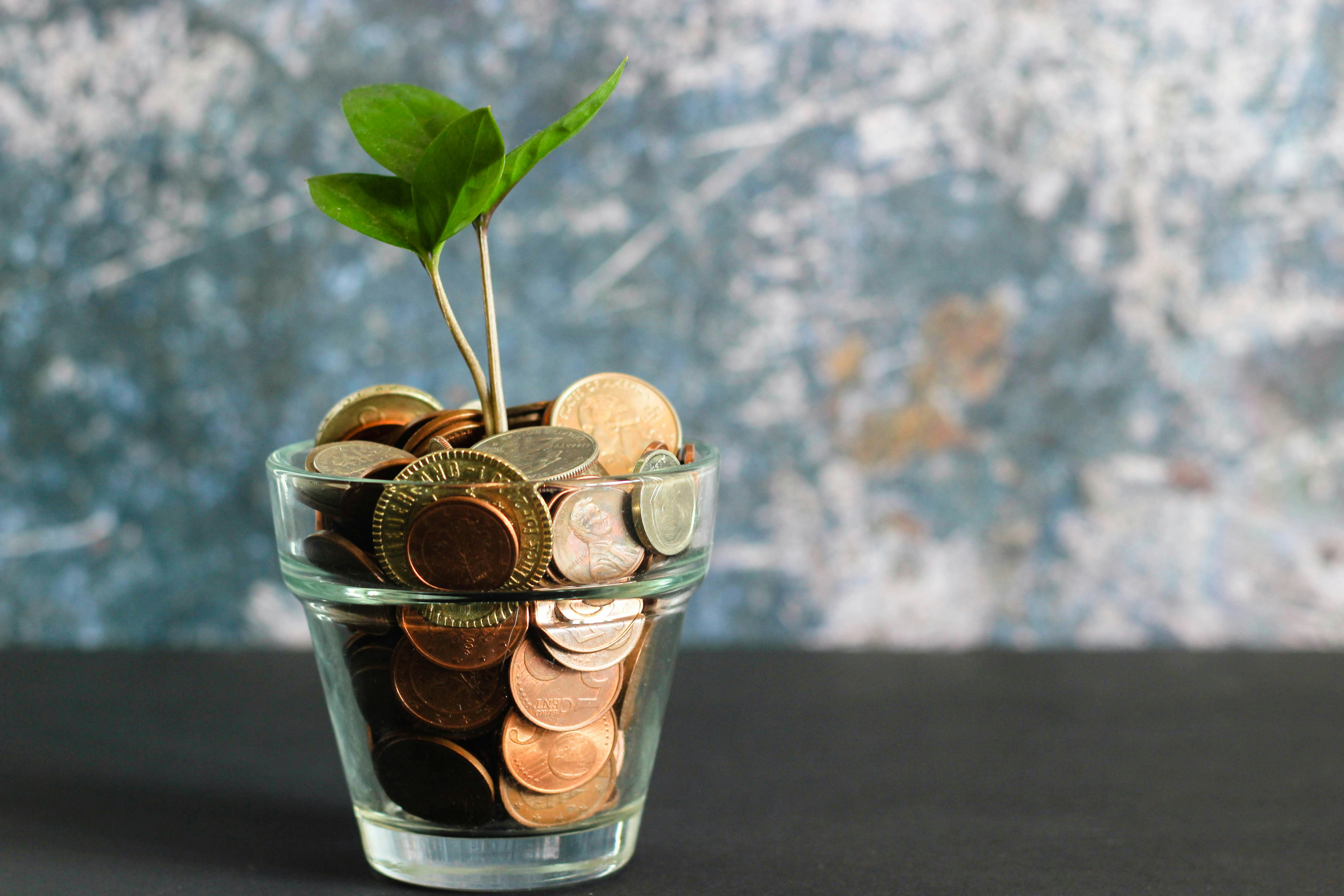 Guyana Development Bank Leaves Budding Entrepreneurs Behind