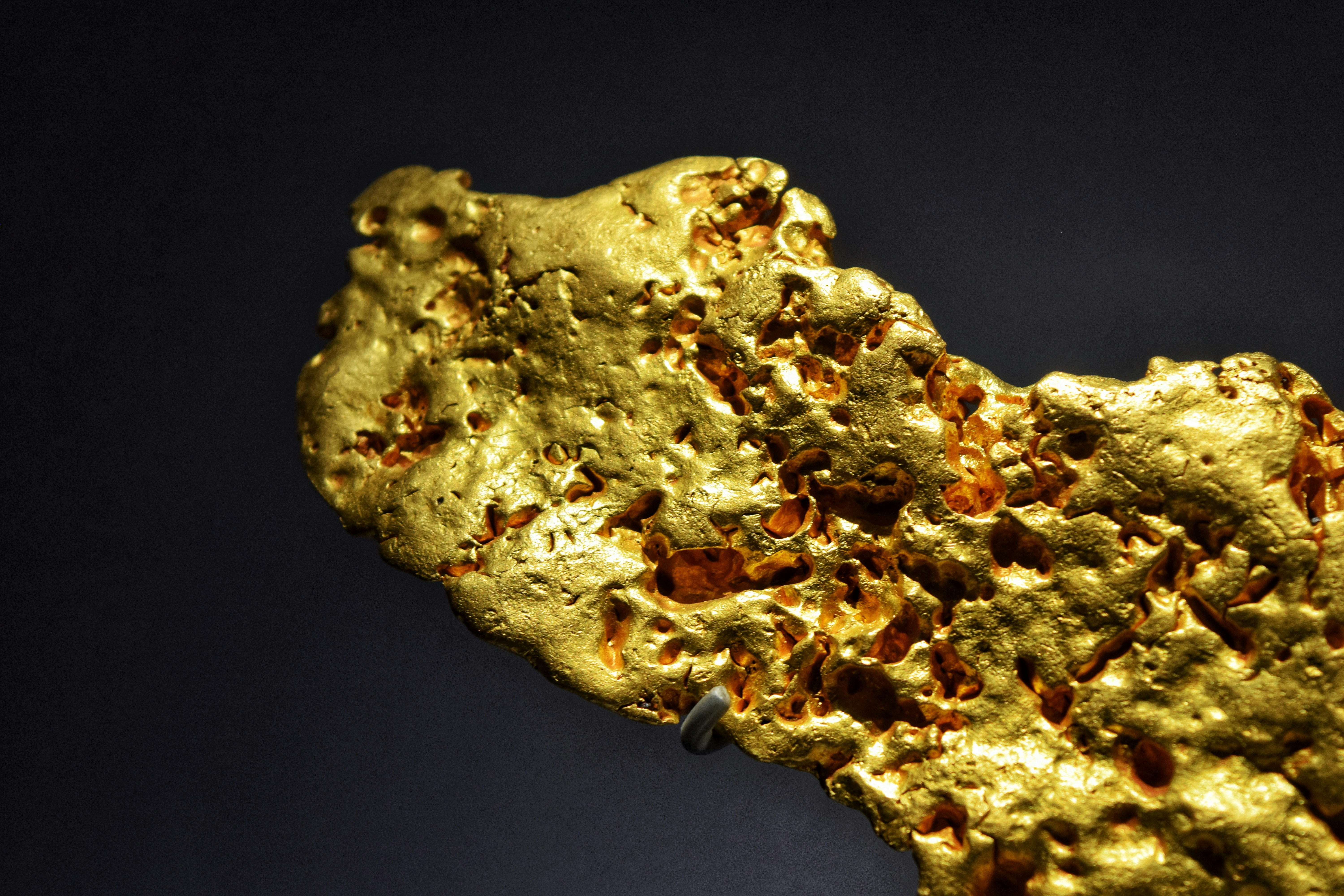 Australian Firm Calls Guyana Last Pro-Mining Nation in Guiana Shield